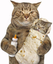 Load image into Gallery viewer, Admitrack Burrito Tortilla Blanket, Flannel Burritos Wrap Blanket, Giant Flour Tortilla Throw Blanket, Funny Food Throw Blanket, Novelty Burritos Throw Blanket Adults Size&Kids Size&Baby Size